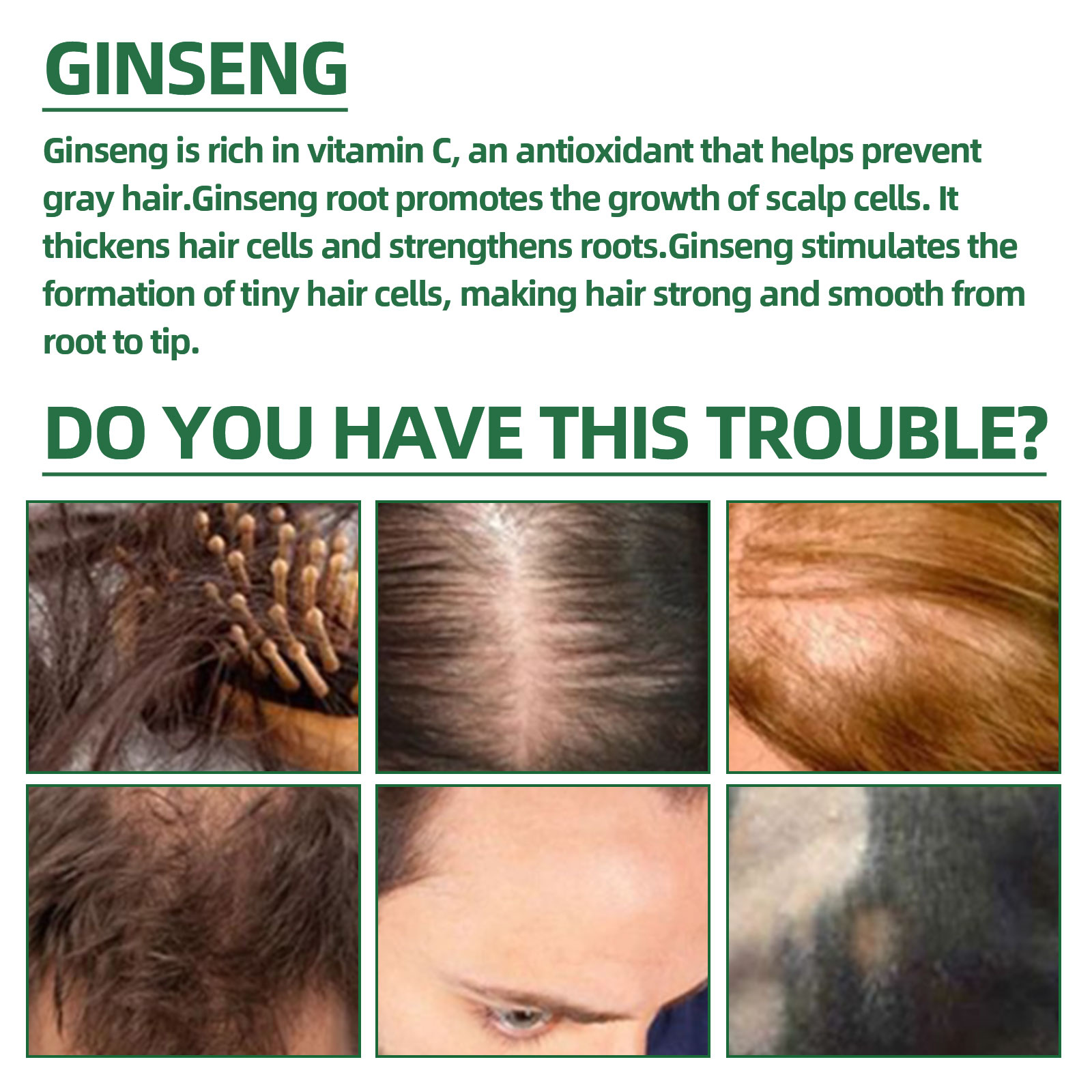 Natuurlijke Kruiden Ginseng Ha - Nutrition And Fitness recensie en prijs
